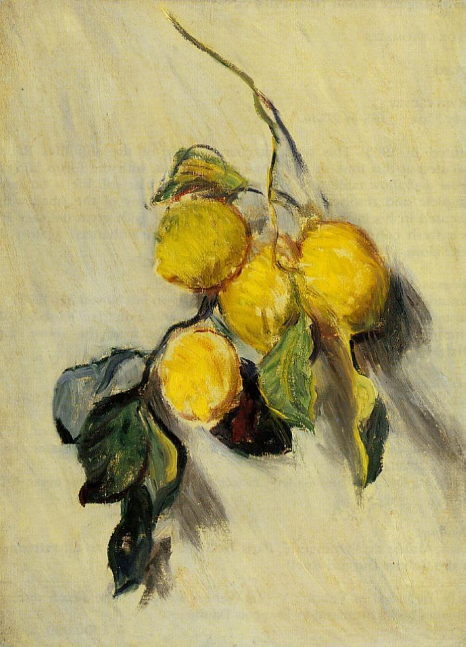 油彩画 F4額装品 入井峰生1976年作品 Lemon静物画 Branch of Lemons 莫奈油画作品,无水印高清大图- 麦田艺术