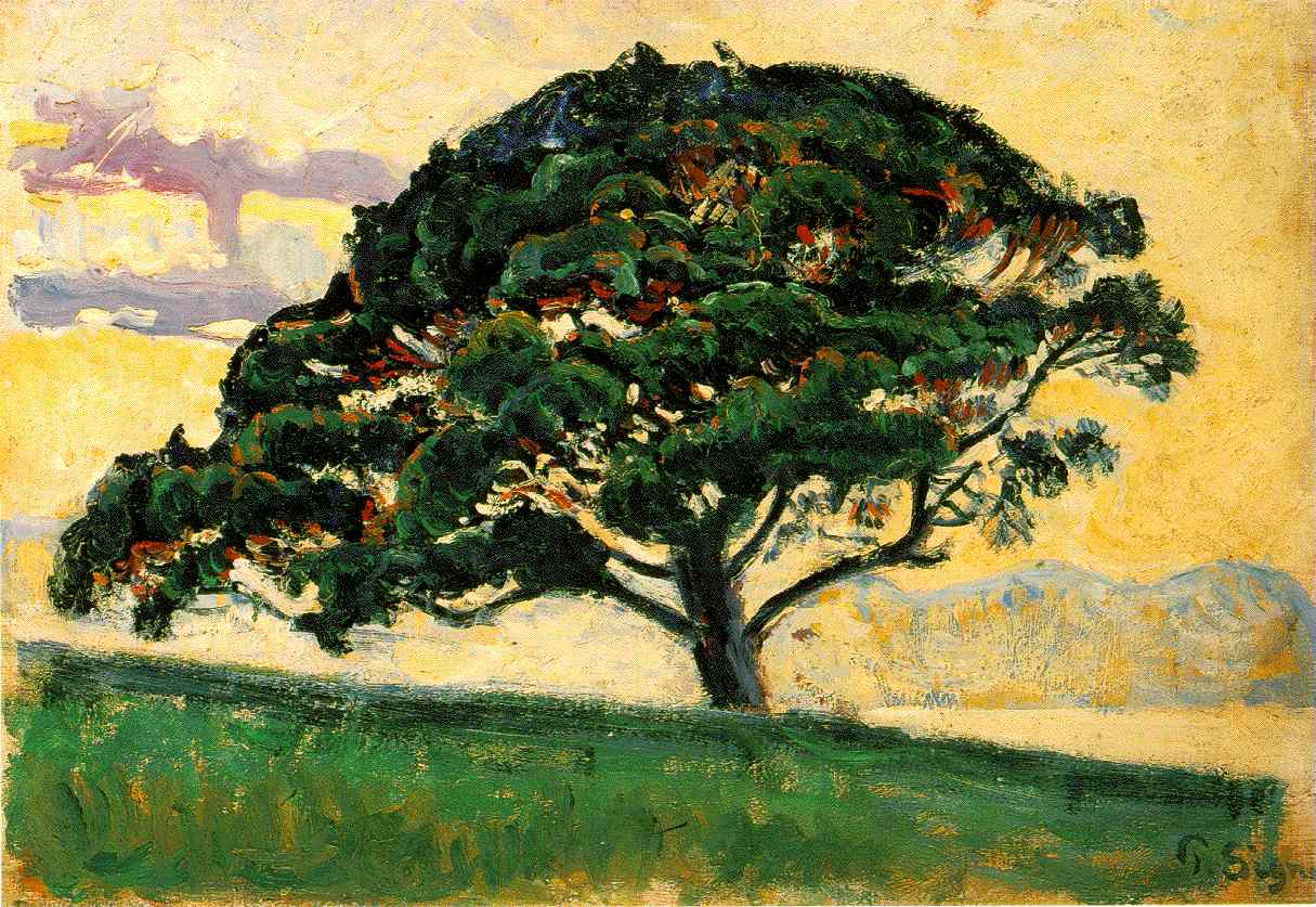 The Bonaventure Pine - 保罗·西涅克作品,无水印高清大图 - 麦田艺术