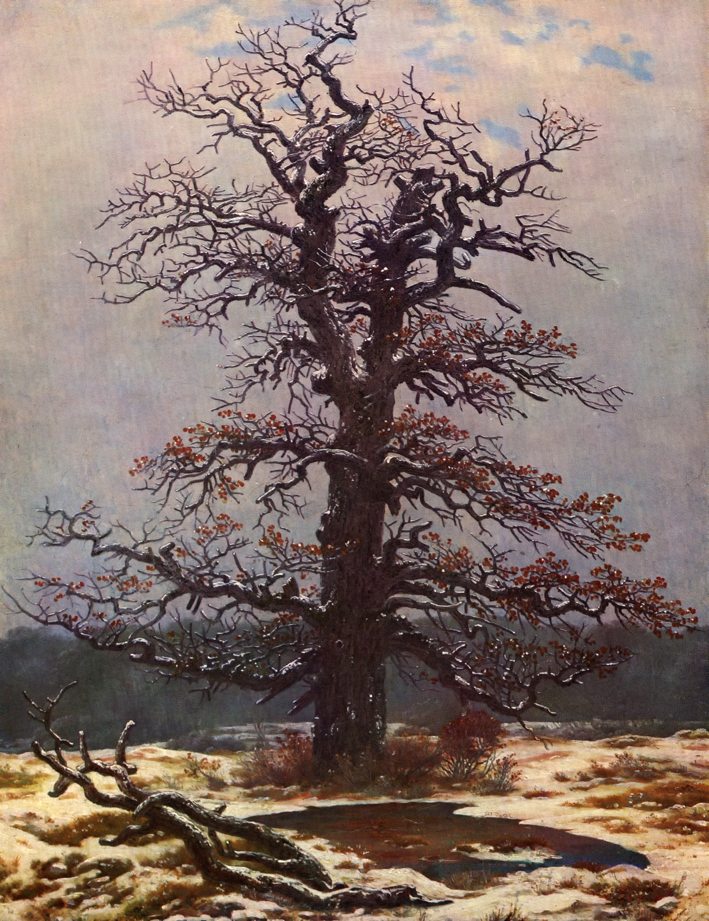 Oak tree in the snow - 卡斯帕·大卫·弗里德里希作品,无水印高清大图