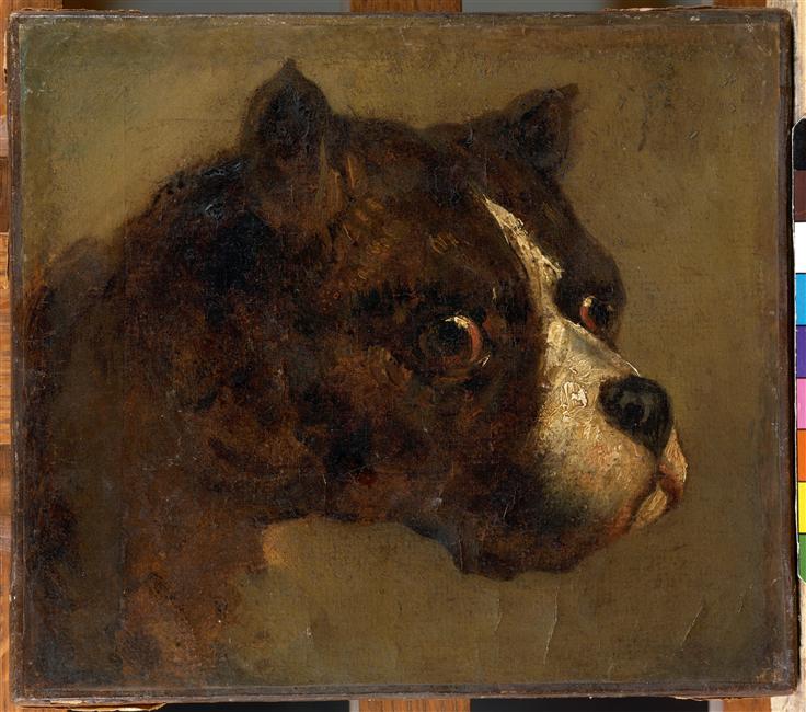 The head of bulldog - 西奥多·籍里柯Theodore Gericault作品,无水印高清大图 - 麦田艺术