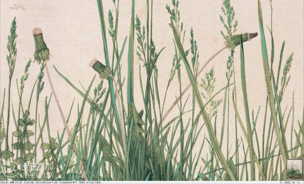 丢勒作品高清合集