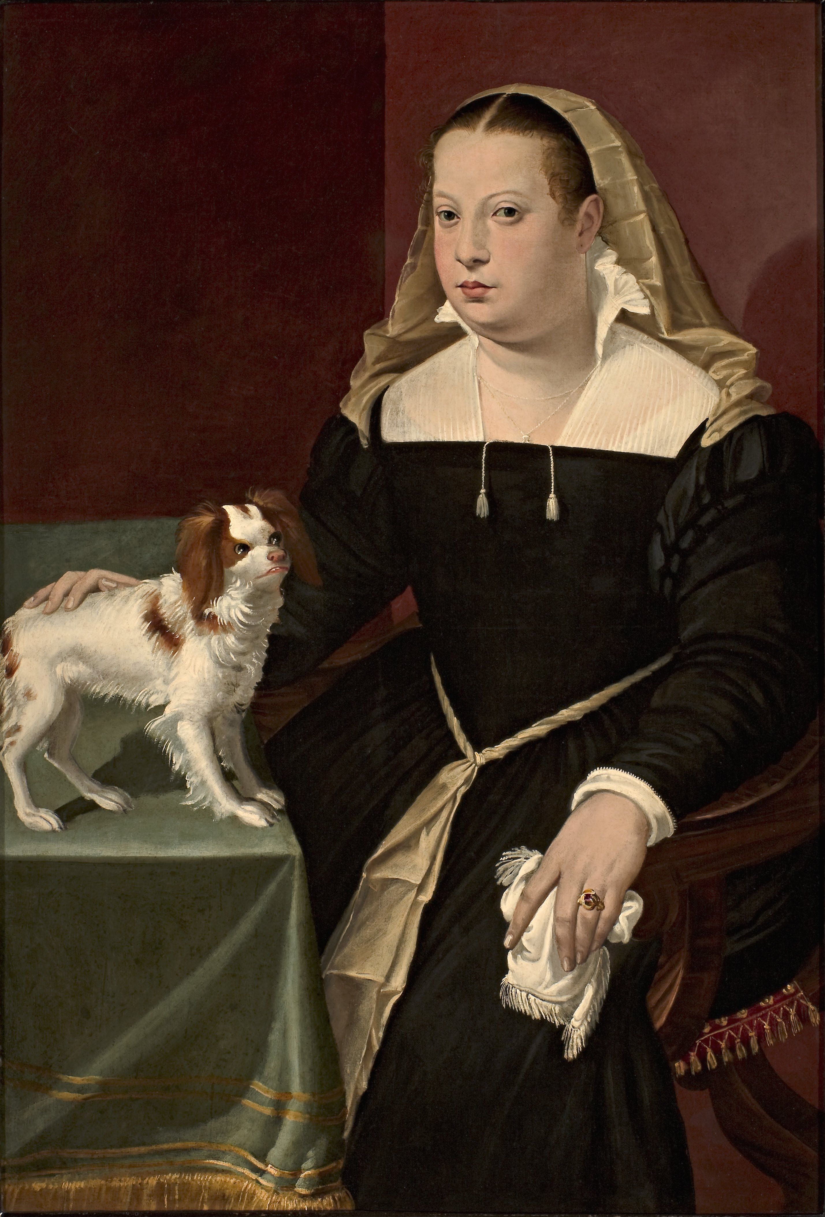 Portrait of a Lady with a Dog - Bartolomeo Passerotti 作品高清图 - 麦田艺术